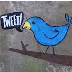 Tw_ESP's profile picture. ¿Quieres leer tweets interesantes de España? Hago RT a relevantes españoles de derechas en twitter, tweets dignos de ser retweeteados y a lo que me da la gana.