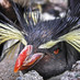 Massimo Dondero (@pinguy1383) Twitter profile photo Massimo Dondero (@pinguy1383) Twitter profile photo