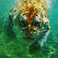 Carles Civit (@carlesc90) 's Twitter Profile Photo Carles Civit (@carlesc90) 's Twitter Profile Photo