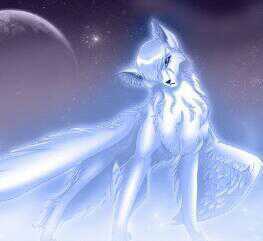 LightWolf11's profile picture. im light a female wolf with blue eyes!I can use the rarest fire called blue fire!mate:@ivletthegreat