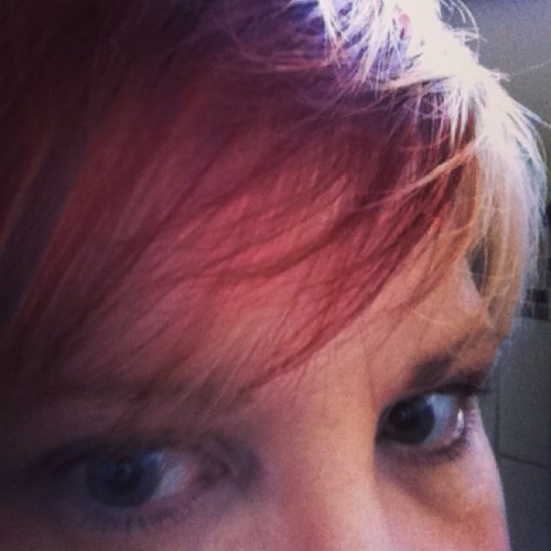 shrimps42's profile picture. Live in Titchfield, Hampshire, England married with 2 children and work for the MOD.