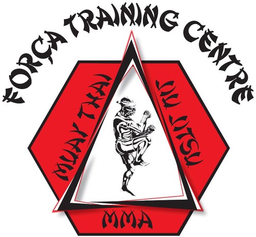 Mixed Martial Arts training, including Muay Thai, Jiu Jitsu, MMA, Wrestling, Women's only and Kids BJJ & Muay Thai classes, etc.