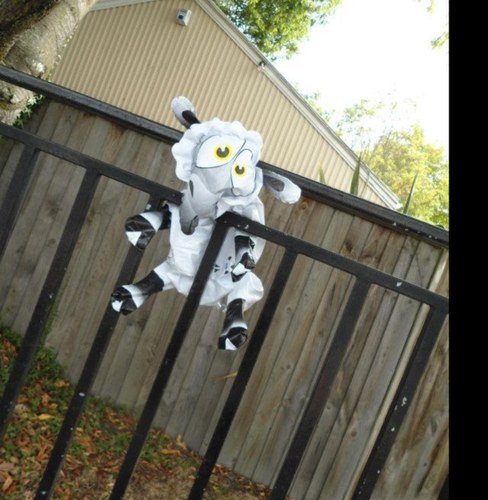 I am ethel i have come to the land of lamb that is new zealand and i will be keeping you up to date with my adventures!