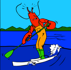 LobsterSUP's profile picture. A premier two-day, open-water SUP race along Midcoast Maine where the mountains meet the sea.