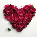 ohoud A (@0632930) Twitter