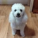 Ray Beattie - @RayBeattieray46 - Twitter