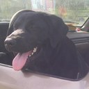 BRANDON MUELLER - @BMueller04 - Twitter