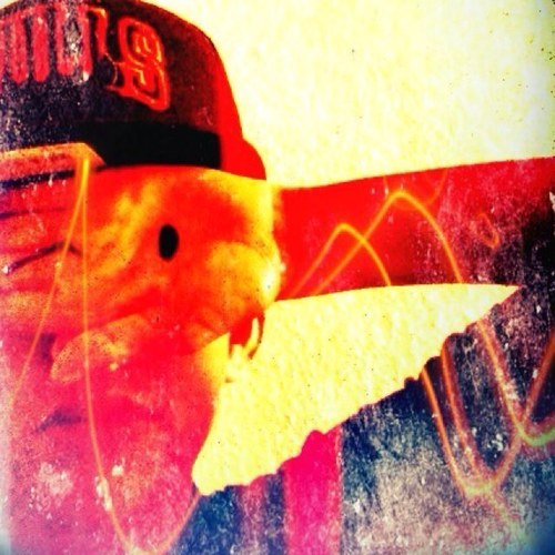 TecosVidaljr's profile picture. 