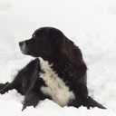 Kim Bowlin - @wifeandmomKim - Twitter