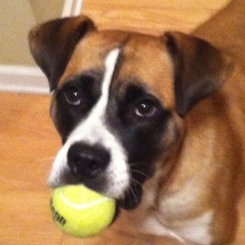 elwell10's profile picture. 