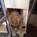 Tim Barton - @tbarton1 - Twitter