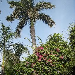 kent_ak's profile picture. 