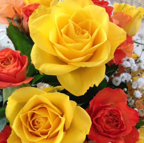amari253's profile picture. SMAP♡いい大人です