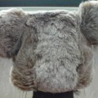 CS Howard (@ioripluskyo) 's Twitter Profile