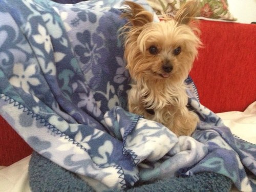 mictwitty's profile picture. 