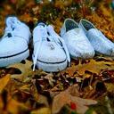 Mandi Rose - @MandiRose1012 - Twitter