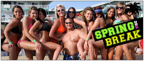 springbreak16's profile picture. 