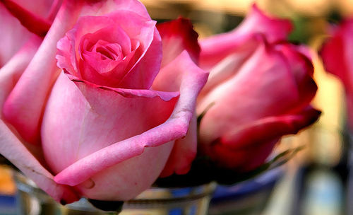 love4everq8's profile picture. اجمل خواطر العاشقين