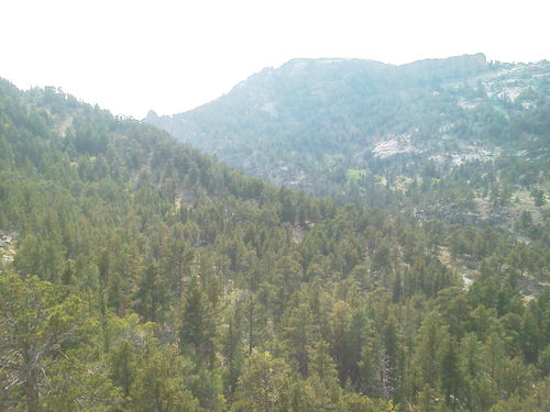 tfosmo's profile picture. 