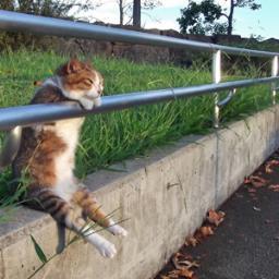 Maryellaf1's profile picture. 