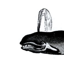 A Nashville-based screen-printing company that prints shirts, posters, etc. in the old school way. It's not the way of the buffalo, it's the way of the whale.