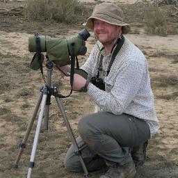 Ecologist, conservationist, and occasional bird ringer. Can sometimes be found wide awake. Looks suspiciously Welsh. Views are my own. #ornithology