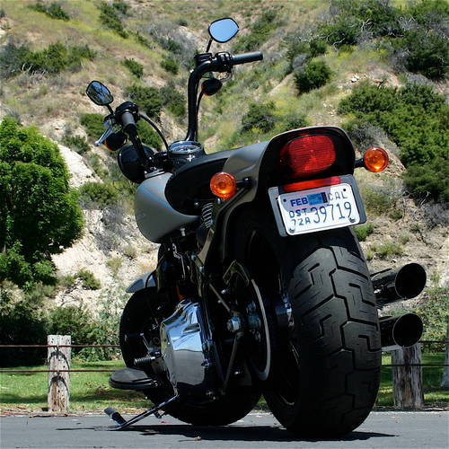 chawannutt1's profile picture. 