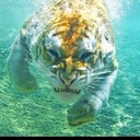 Daniel Urrea G, - @DanUrrea - Twitter