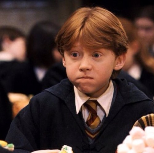 dumbled0rcrux's profile picture. He's a lion, who can talk.