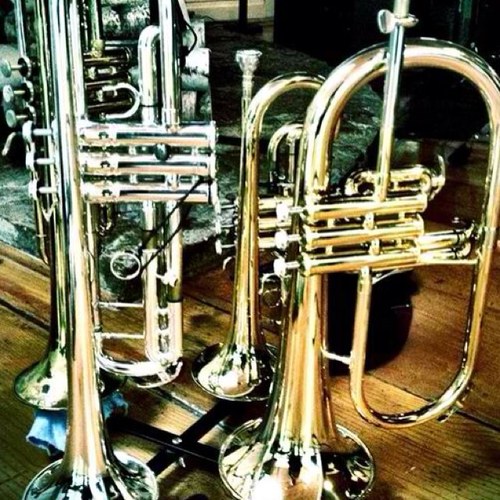 LifeOfABrass's profile picture. All things band all the time! I digress though. Know your anon! Ask me anything. I play trumpet and clarinet.