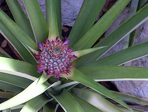 Destinyview's profile picture. God is good.