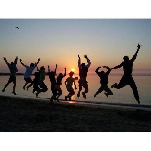 zoso9536's profile picture. has to write one