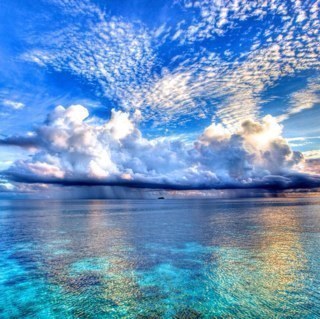 redheadchick85's profile picture. 