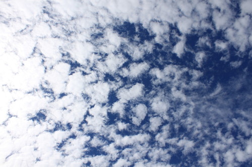 glalarencery's profile picture. 毎日笑って過ごしたい日々どぉやったら楽しく生きられるか考えながら泣いたり怒ったり笑ったり忙しいﾔﾂです(＾ω＾)