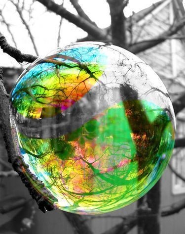 NETEL82's profile picture. 