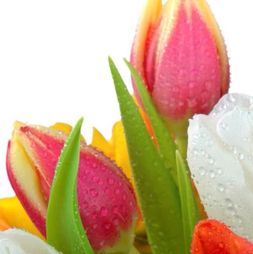 EdithLizz's profile picture. 