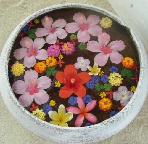 a_sea320's profile picture. うさぎ🐰2021.5～/食べる🍚🥢/飲む🍺/TVドラマ・バラエティ📺/旅行🛫/温泉♨️