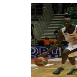Twitter NO OFICIAL del equipo de baloncesto profesional Toros de Aragua