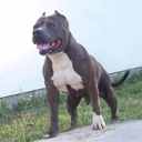 troy cummings - @caseysrock - Twitter