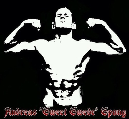 I am a Swedish MMA fighter living in Las Vegas. Living the dream and training to become the best!