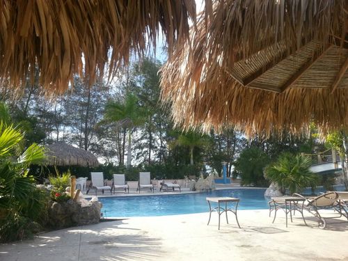 Annita Murillo Profile