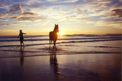 seensalehalamri's profile picture. أكتب ..أقرأ ...اتفاعل مع ماحولي ..ارائي تخصني ولاتعني أحداً غيري(اللهم اجعل الحياة زيادة لي في كل خير واجعل الموت راحة لي من كل شر )