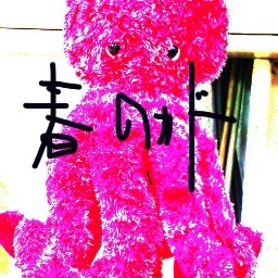 春のカドさんのプロフィール画像