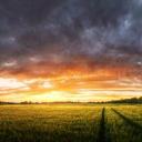 Bailey Hutton - @BaileyHutton2 - Twitter