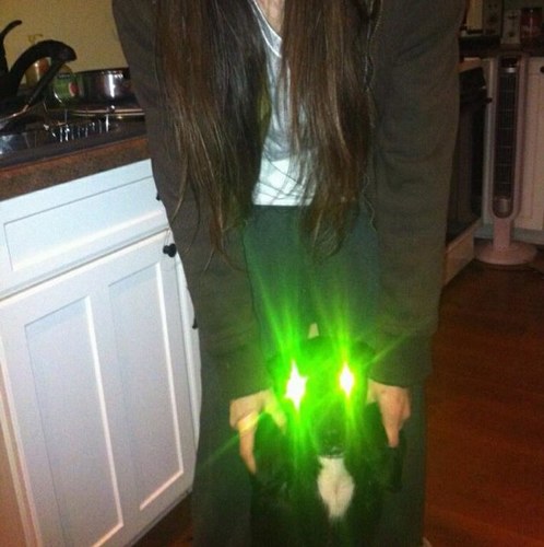 AndyPantsRowe's profile picture. life is weird. weed helps.