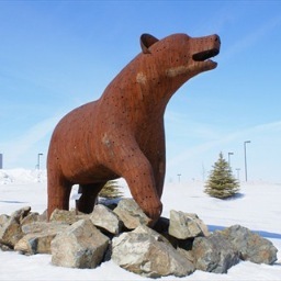 NotAByronCop's profile picture. Just finished a term in Federal Medical Center Rochester.      
Haters: @j_stimson and @TimHoganisGreat