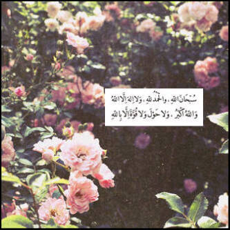 لا حول ولا قوة اللا ب الله ، سبحان الله وبحمده عدد خلقه ورضا نفسه وزنة عرشه ومداد كلماته.لا اله الا الله عدد ماكان وعدد مايكون وعدد الحركات والسكون.