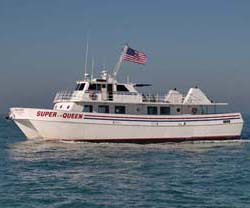 queenfleet's profile picture. Clearwater's best deep sea fishing tours
