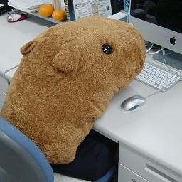 たまに写真撮ってるちょっと変な人。