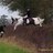 foxyhunter43's profile image